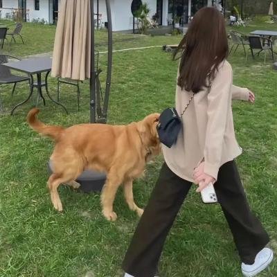 喜气逼人